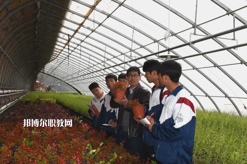 靖遠(yuǎn)職業(yè)教育中心2022年學(xué)費(fèi)、收費(fèi)多少