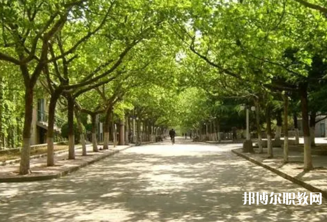 成都2025年讀鐵路學(xué)?？梢钥即髮W(xué)嗎